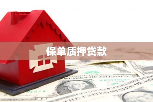 海原保单质押贷款
