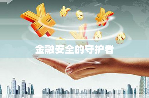 海原金融安全的守护者
