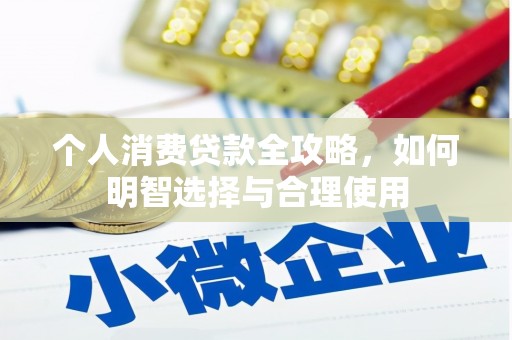 海原个人消费贷款全攻略，如何明智选择与合理使用
