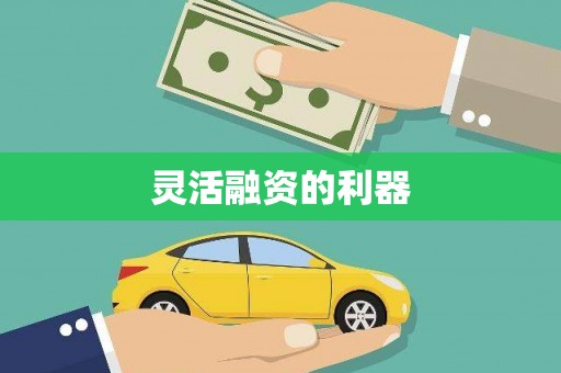 海原灵活融资的利器