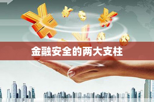 海原金融安全的两大支柱