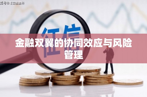 海原金融双翼的协同效应与风险管理