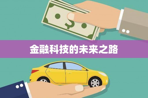 海原金融科技的未来之路