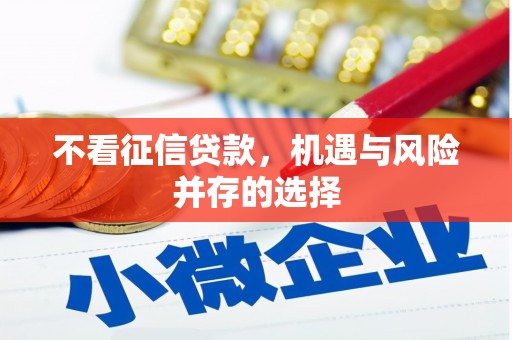 海原不看征信贷款，机遇与风险并存的选择