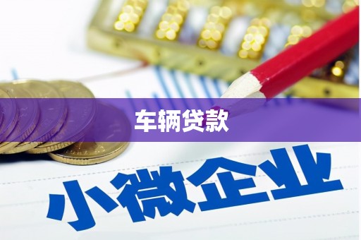 海原车辆贷款