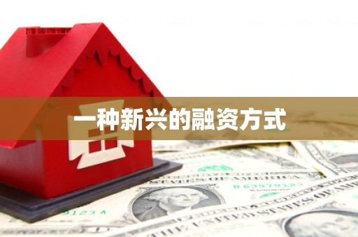 海原一种新兴的融资方式