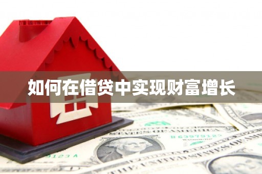 海原如何在借贷中实现财富增长