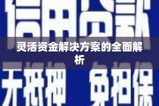 海原灵活资金解决方案的全面解析