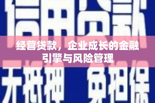 海原经营贷款，企业成长的金融引擎与风险管理