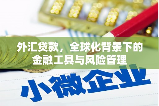 海原外汇贷款，全球化背景下的金融工具与风险管理