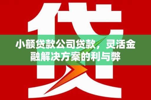海原小额贷款公司贷款，灵活金融解决方案的利与弊