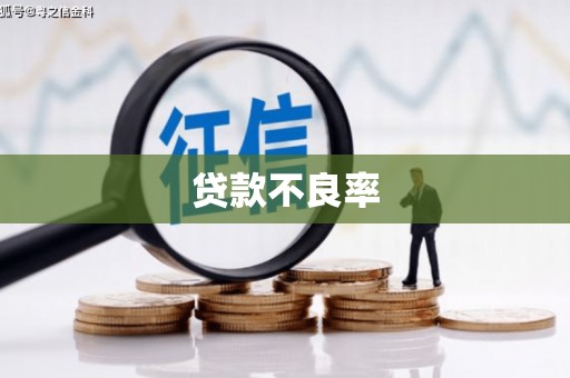 海原贷款不良率