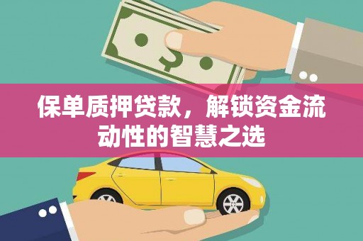 海原保单质押贷款，解锁资金流动性的智慧之选