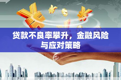 海原贷款不良率攀升，金融风险与应对策略
