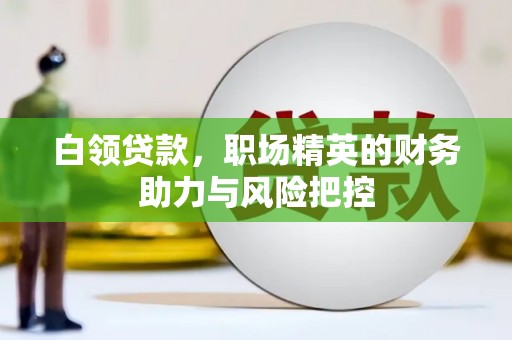 海原白领贷款，职场精英的财务助力与风险把控