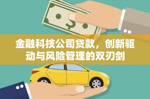 海原金融科技公司贷款，创新驱动与风险管理的双刃剑