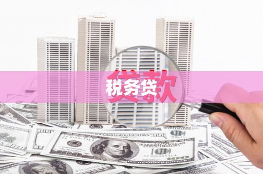 海原税务贷