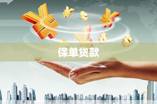 海原保单贷款